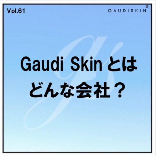 Gaudi Skinとはどんな会社？